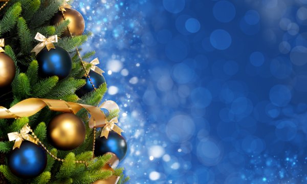 Новогодние елочные ветки