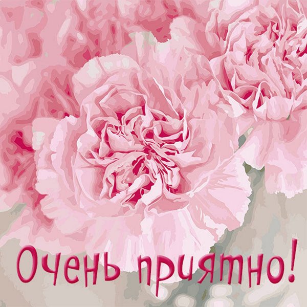 Мне очень приятно картинки