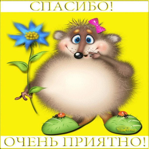 Спасибо большое очень приятно