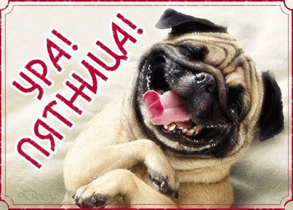 Ура пятница