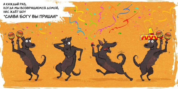 С возвращением смешные картинки