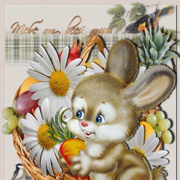 Поздравительный зайчик