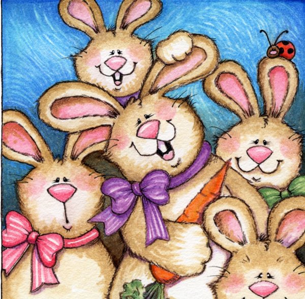 Заяц открытка