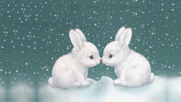 Снежный кролик