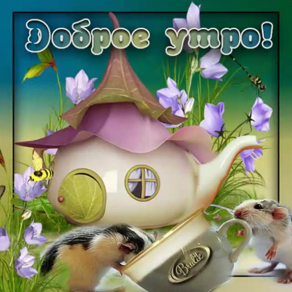 Открытки с добрым утром прикольные