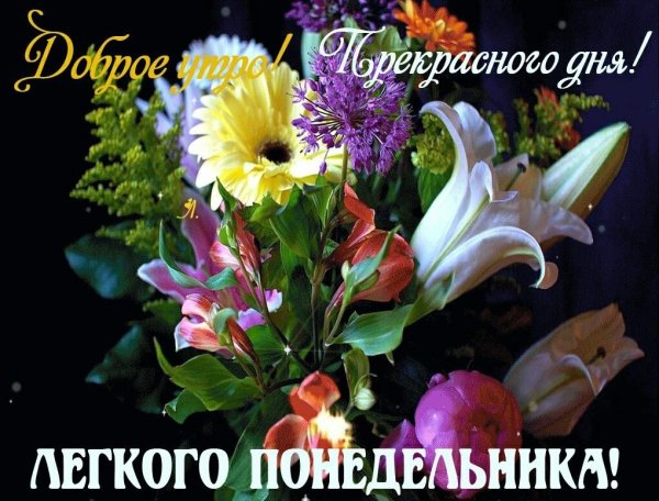 Открытки с добрым понедельником