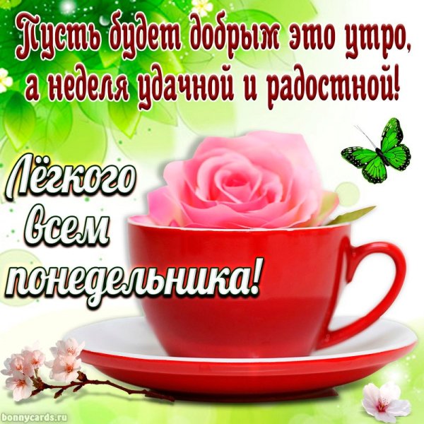 Доброе утро легкого понедельника