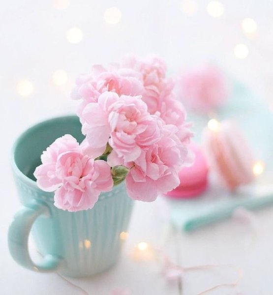 Цветы в пастельных тонах