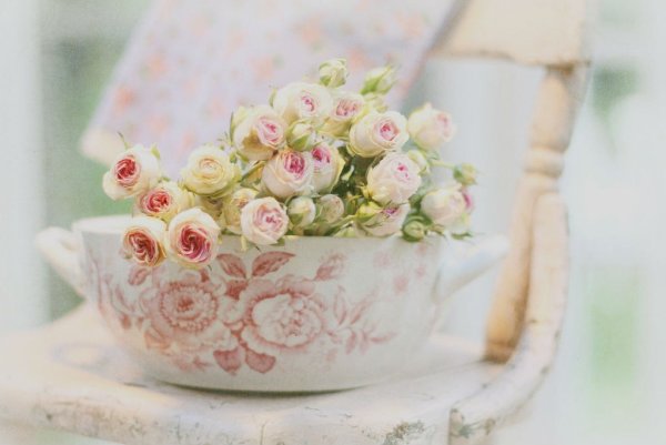 Самые нежные цветы