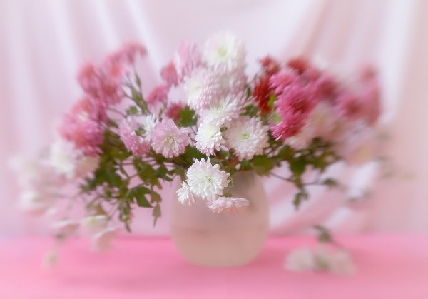 Нежные открытки с днем рождения девушке