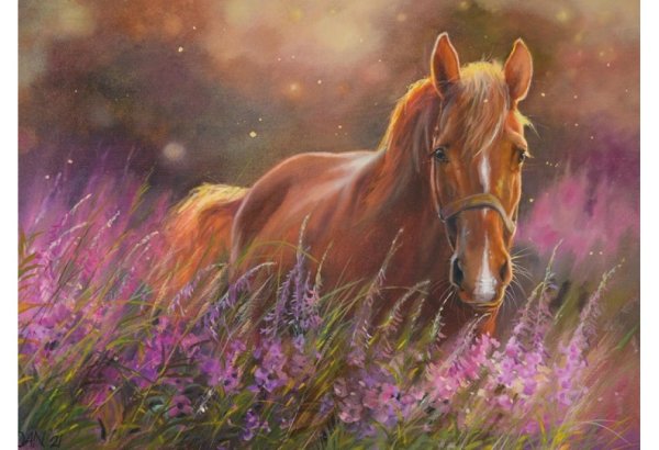 Юлия неприятель художник картины