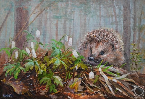 Юлия неприятель художник картины Ежи