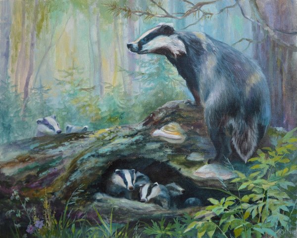 Доброе утро с лошадьми