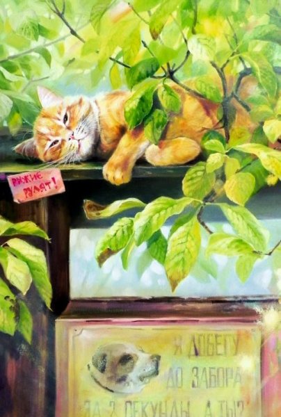 Юлия неприятель коты