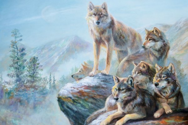 Юлия неприятель художник картины