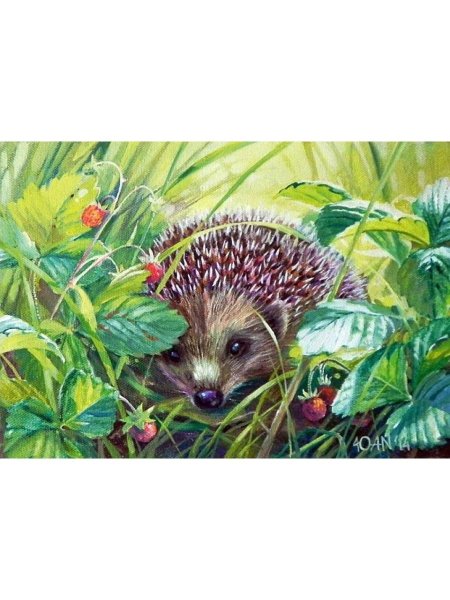 Юлия неприятель тигры