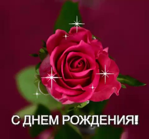 Открытки с днём рождения женщине для ватсапа