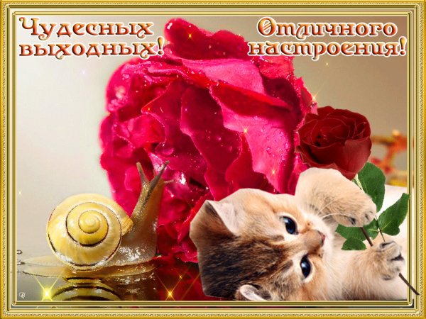 Хороших выходных и отличного настроения