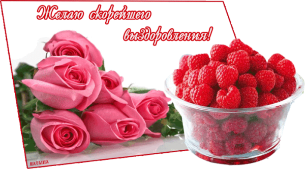 Выздоравливай скорей