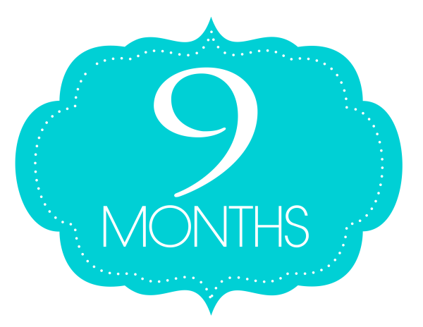 9 Месяцев надпись