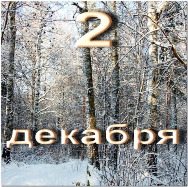 2 Декабря день