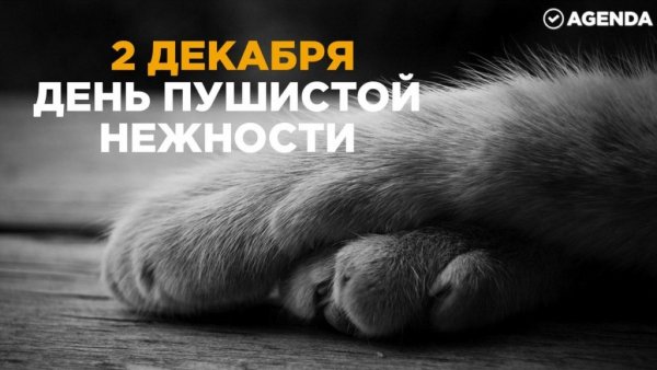 Авдеев день Авдей радетель 2 декабря