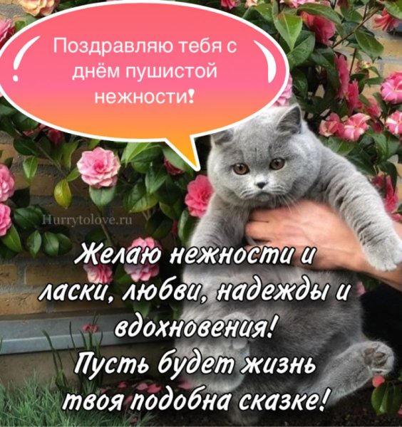 Открытки с зимой