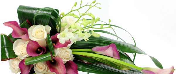 Поздравляем с днем рождения цветы мужчине