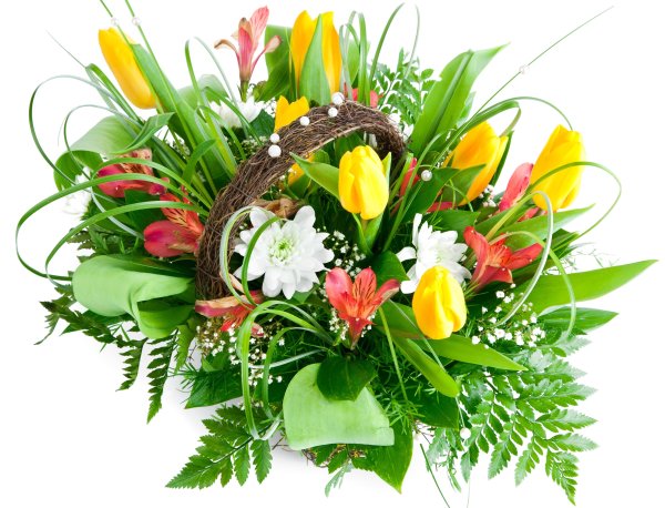 Цветы для мужчины