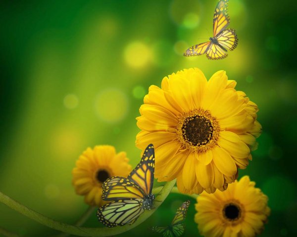 Поздравление с субботой