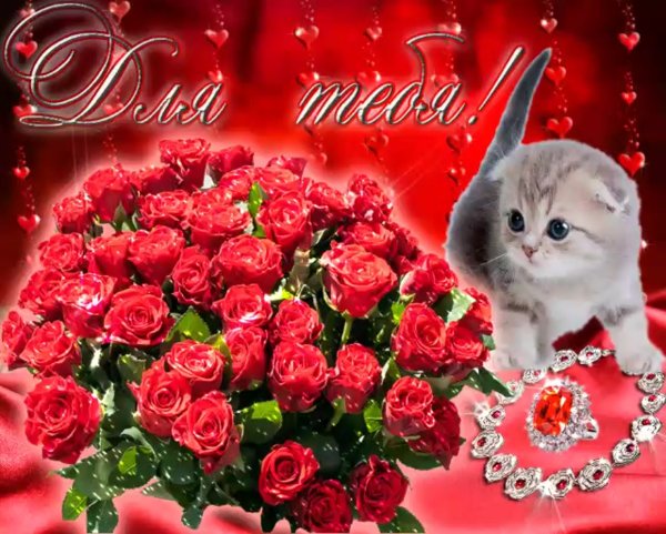 Красивые открытки