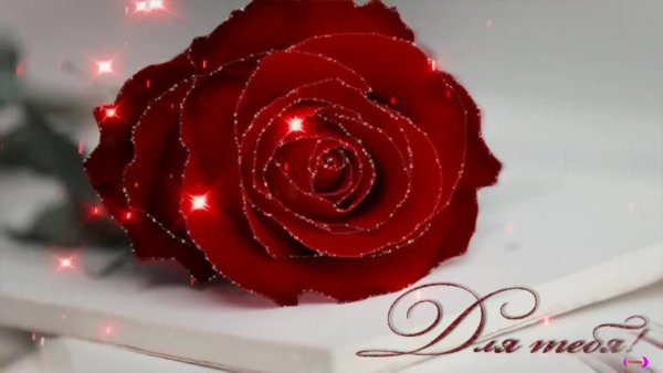 Мерцающие красные розы