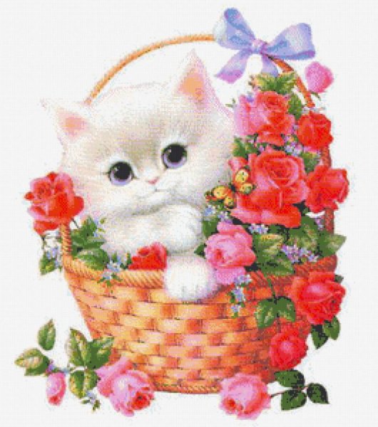 С днём рождения сестра