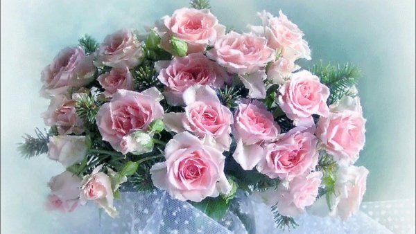 Поздравления с днём рождения женщине