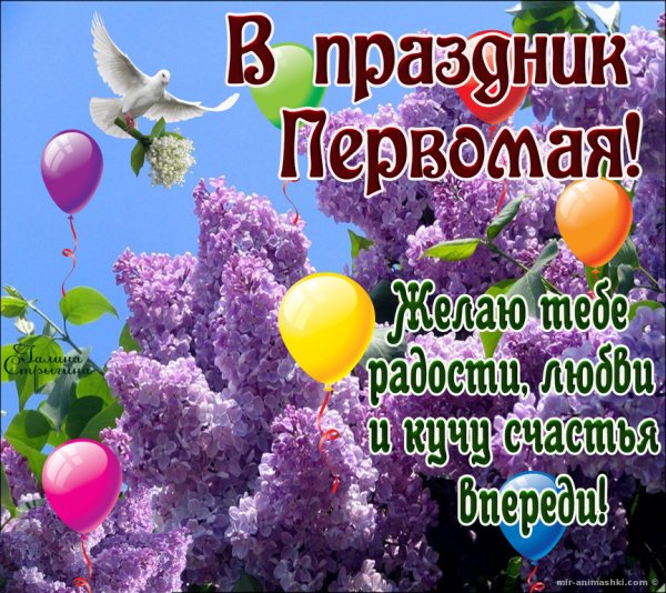 1 Мая праздник