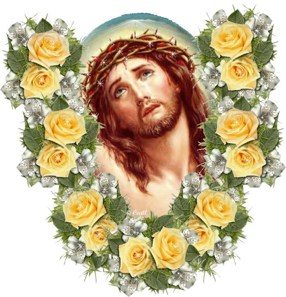 Цветок Иисуса