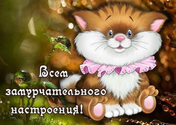 Позитивные цветы