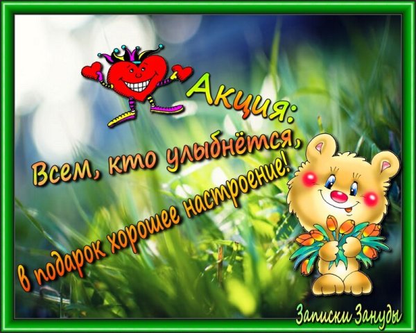 Кот и одуванчик