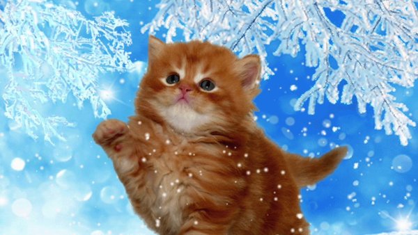 Медвежонок с ромашкой из мультика