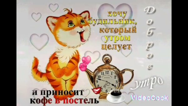 Прикольные поздравления с добрым утром мужчине