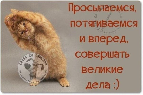 Пора вставать доброе утро