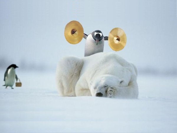 С добрым утром демотиваторы смешные