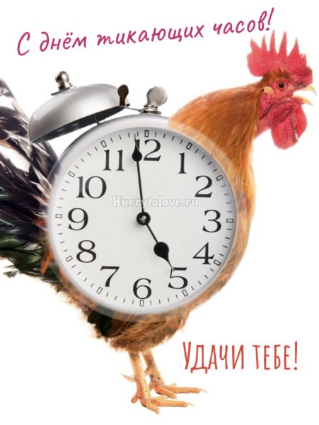 Будильник петух