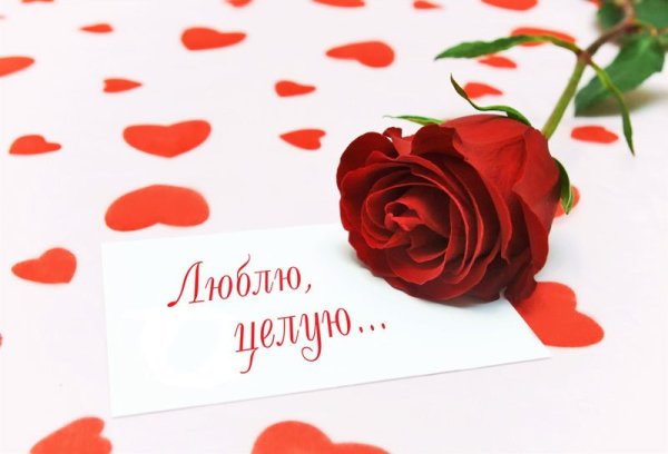 Открытка я вас люблю