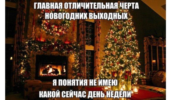 Приколы про новогодние каникулы