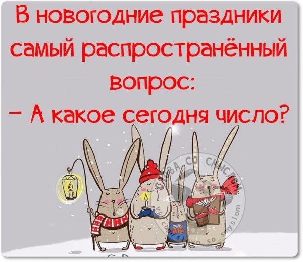 После новогодних праздников приколы