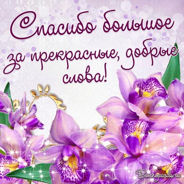 Спасибо за поздравления