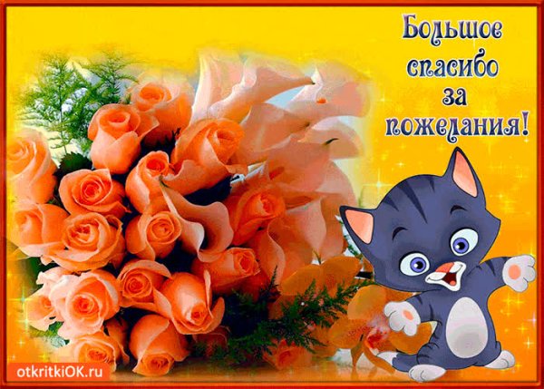 Спасибки за поздравления