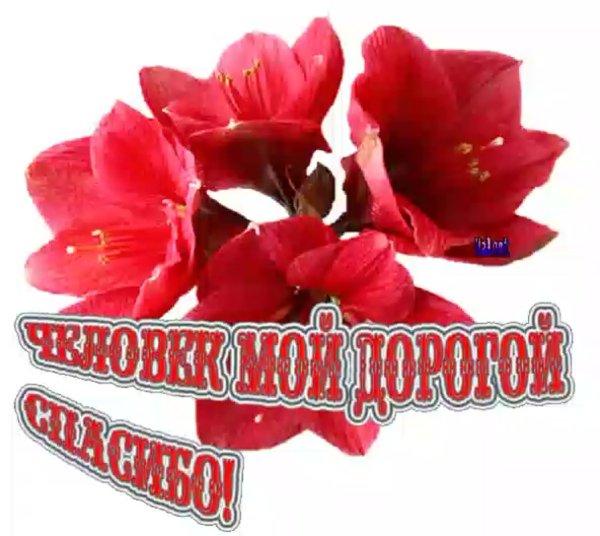 Открытки спасибо большое