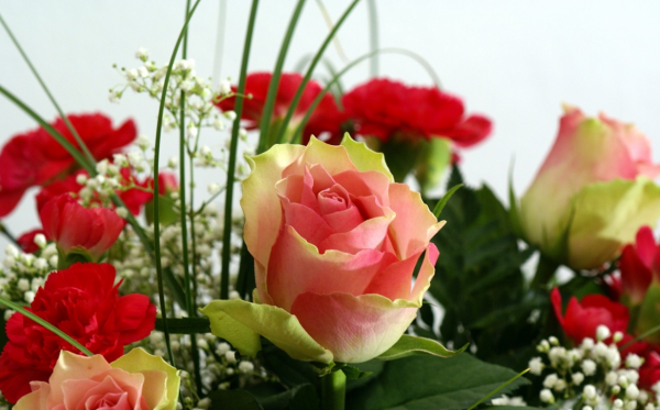 Красивые цветы